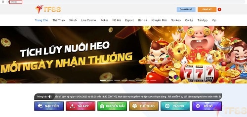 Kinh nghiệm chơi cược bóng đá siêu hay tại TF88